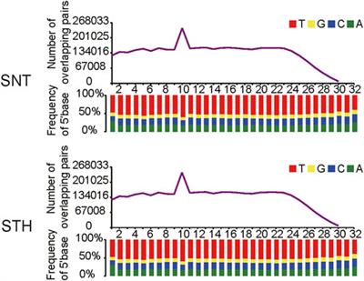 Characteristics of piRNAs and their comparative profiling in testes of sheep with different fertility